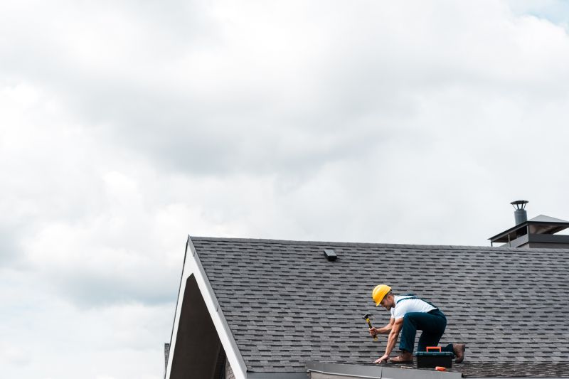 Shed Roof Maintenance