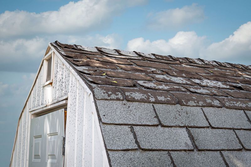 Contact About Shed Roof Maintenance