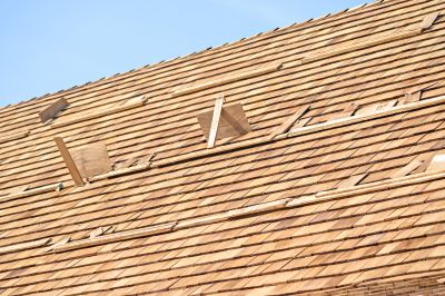 Shed Roof Maintenance
