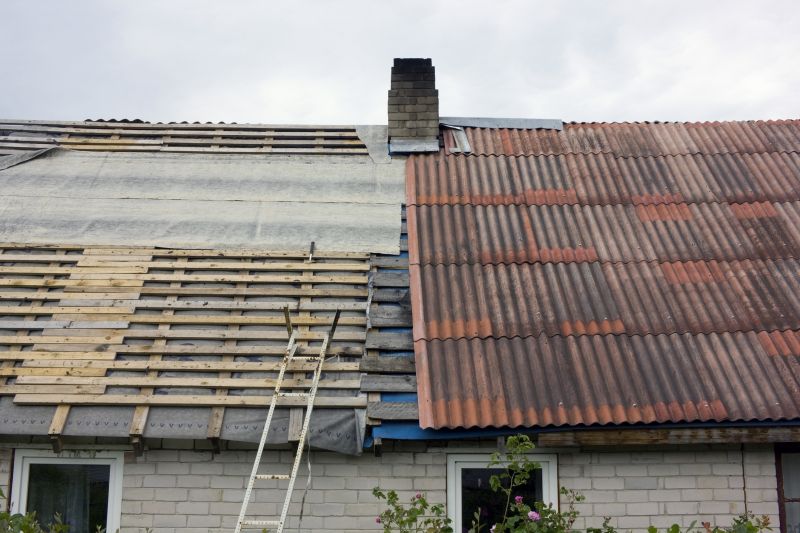 Shed Roof Maintenance