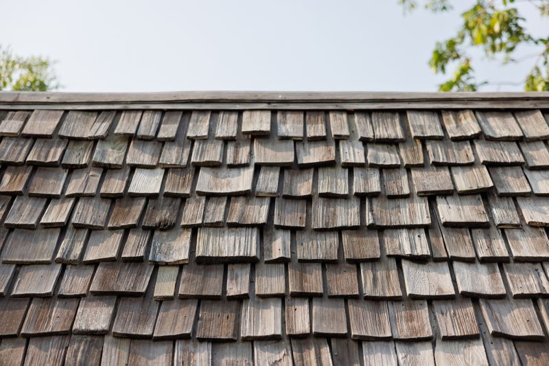 Shed Roof Maintenance