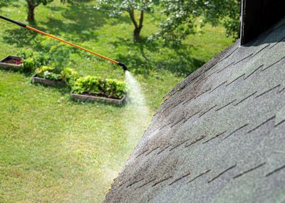 Shed Roof Maintenance