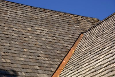 Shed Roof Maintenance
