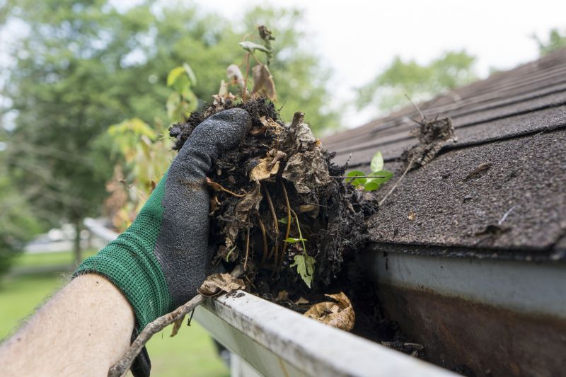 Cleaning shed roof debris